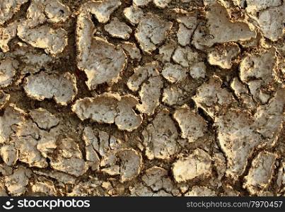 Drought environment background with dried earth cracked from lack of water caused by extreme heat and erosion resulting in farming problems as famine and global warming due to climate change and deforestation.