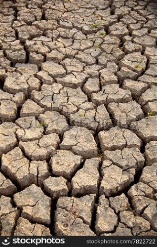 Drought has broken ground cracks because of lack of water.&#xA;