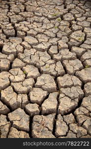 Drought has broken ground cracks because of lack of water.&#xA;