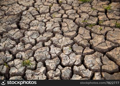 Drought has broken ground cracks because of lack of water.&#xA;