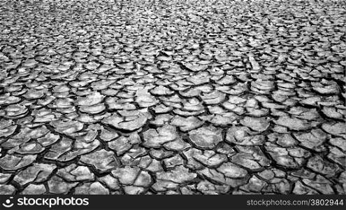Drought land in piece, climate change make extreame weather, dry field by hot season and waterless, this cause by warming global, very urgent situation