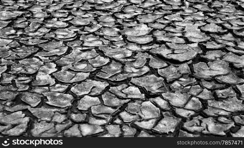 Drought land in piece, climate change make extreame weather, dry field by hot season and waterless, this cause by warming global, very urgent situation