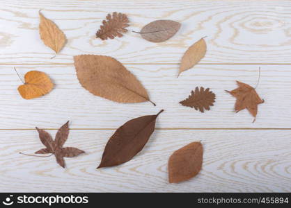 Dry Autumn leaves placed on a wooden panel texture