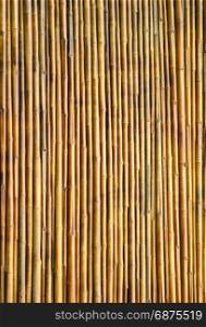 dry bamboo wall texture background