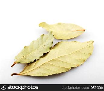 Dry bay leaf against white background. Laurus nobilis.