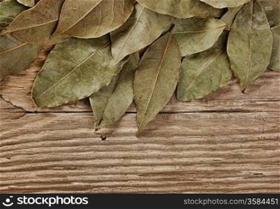 dry bay leaf on an old wooden board
