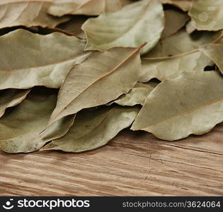 dry bay leaf on an old wooden board