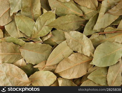 dry bay leaves