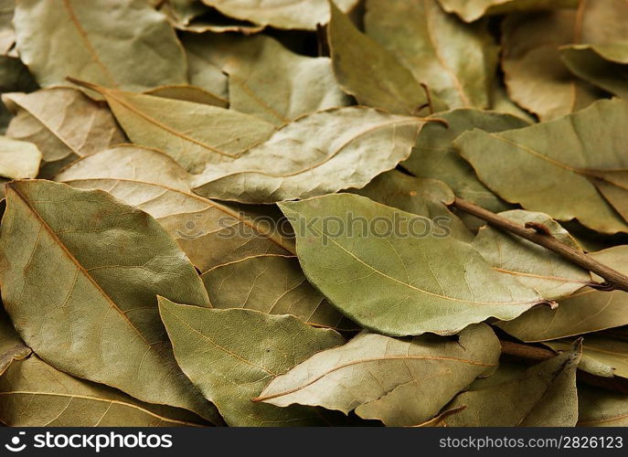 dry bay leaves, background