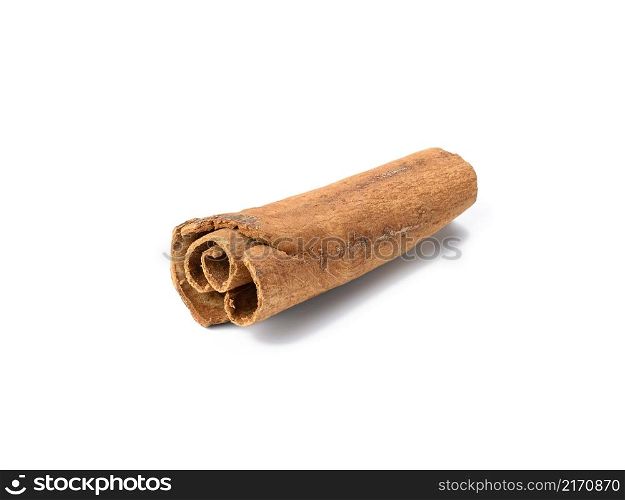dry brown cinnamon stick isolated on white background, spice