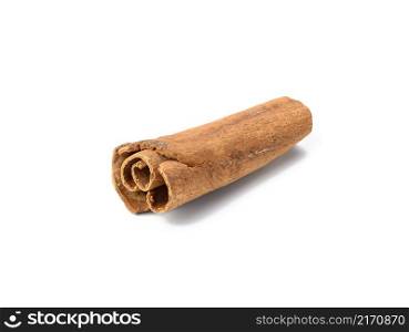 dry brown cinnamon stick isolated on white background, spice