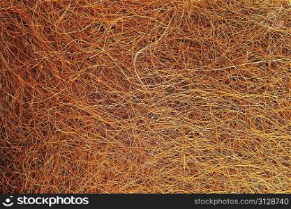 dry brown grass close up texture
