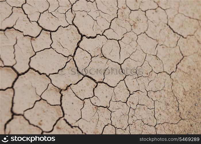 dry brown ground background