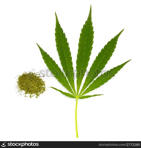 dry cannabis and green leaf