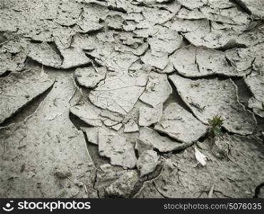 Dry cracked earth background texture. Dry cracked earth