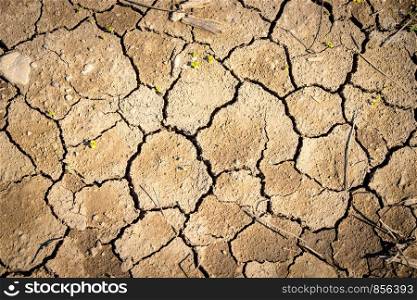 Dry cracked earth, global warming