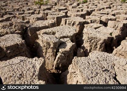 Dry earth texture