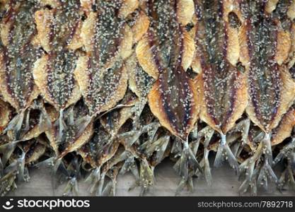 dry fish at a traditional Market in the city of Vientiane in Lao in Souteastasia.. ASIA LAO VIENTIANE