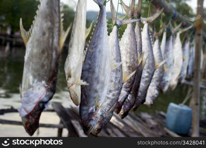 Dry fish for sale in a Thai fishermans village