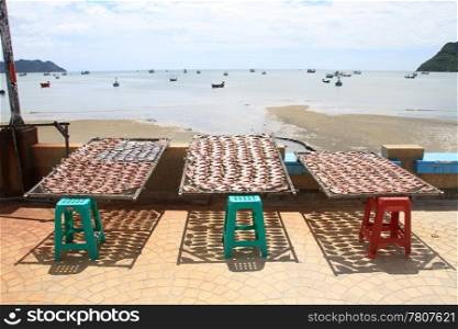 Dry fish on the stalls on the beach in Prachuap Khiri Khan in Thailand