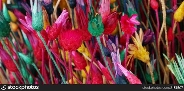 Dry flowers and grass. Abstract bright color horizontal long background.
