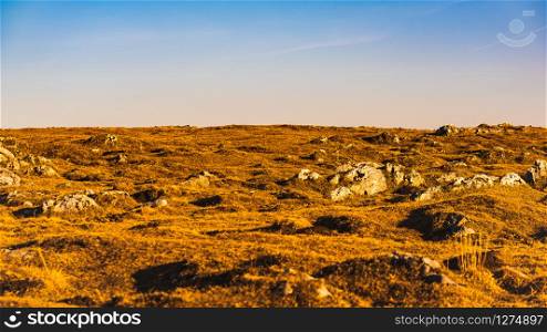 Dry grass and limestone rocks and blue sky background. Dry grass and limestone rocks and blue sky