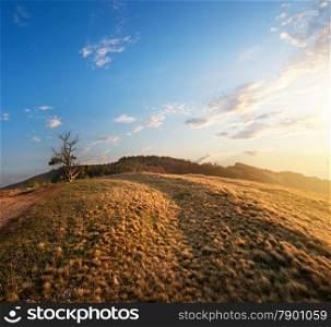 Dry grass on a meadow in mountains at sunset