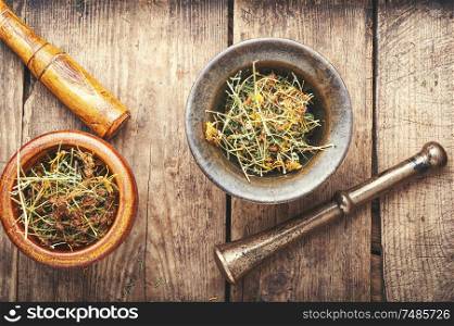 Dry hypericum on wooden table.Medicinal herbs and alternative medicine. Hypericum healing plant