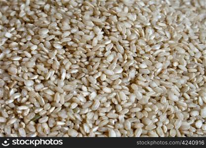 Dry integral rice as background
