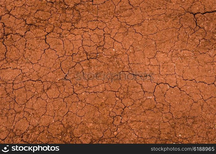 Dry land surface with cracks in the summer