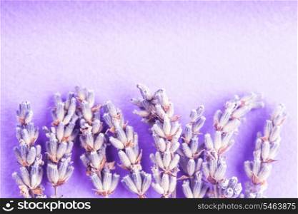 Dry lavender bunch and seeds close up