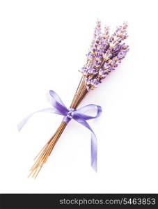 Dry lavender bunch isolated on white background