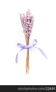Dry lavender bunch isolated on white background. Dry lavender bunch