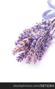 Dry lavender bunch isolated on white background. Dry lavender bunch