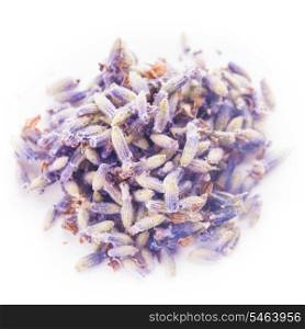Dry lavender seeds isolated on white background