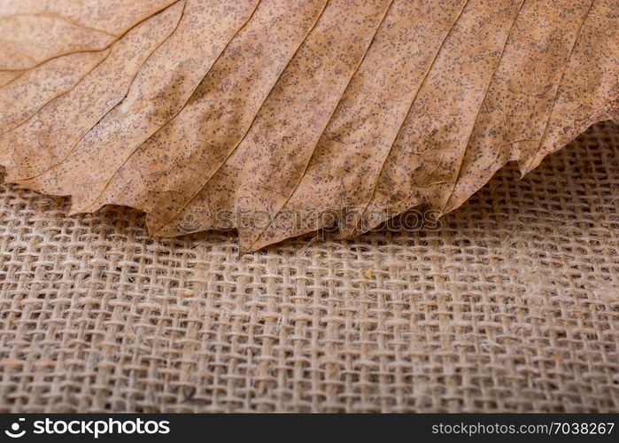 dry leaf on brown linen canvas background