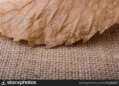 dry leaf on brown linen canvas background