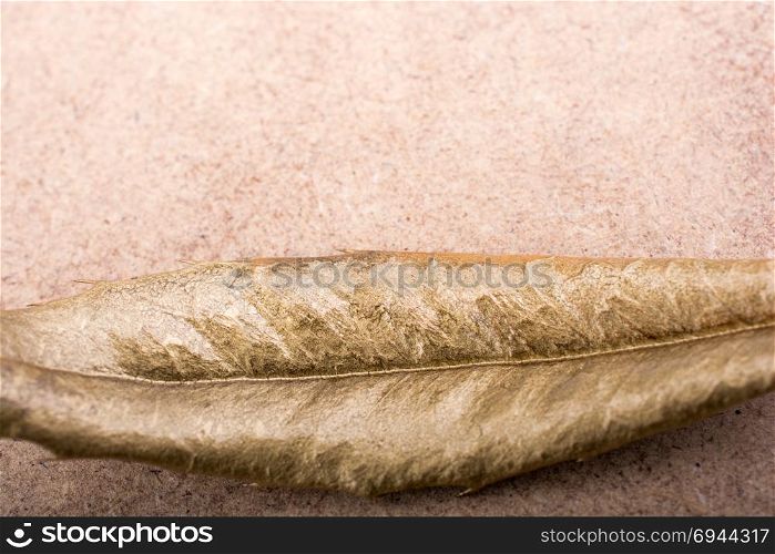 dry leaf on brown straw carpet background