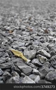 Dry leaf on pebble stones