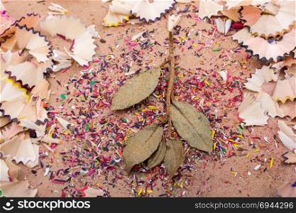 Dry leaves amid color pencil shaving