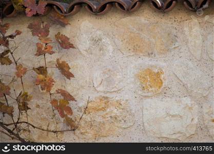 Dry leaves as an Autumn nature background