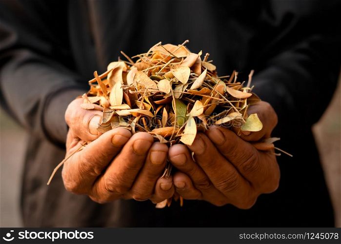 Dry leaves for composting for farming, agricultural concepts.