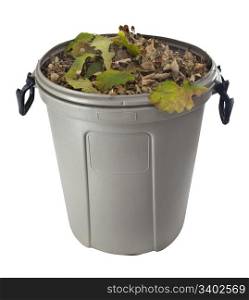 dry leaves in a plastic garbage bin isolated on white - fall backyard work concept