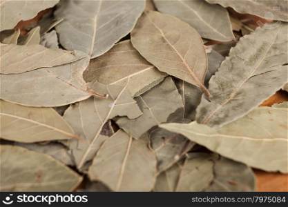 Dry leaves of bay leaf with seeds of black pepper, a nice photo for culinary magazines.