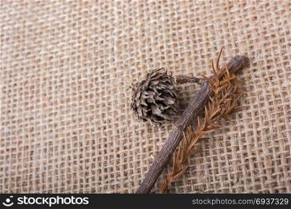 dry leaves on brown linen canvas background