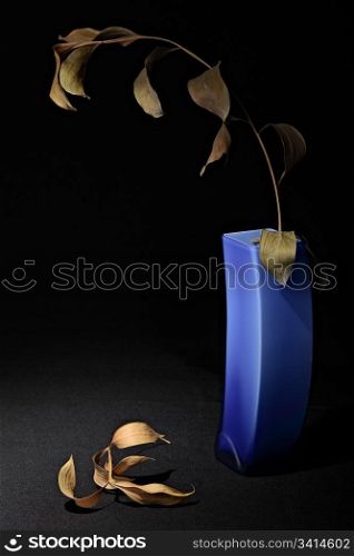 dry leaves on long cramped in vase. studio shot