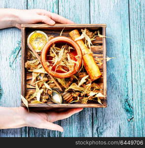 Dry linden leaf. Box with inflorescences of linden and medicinal herbs in hands.Herbs medicine.Medicinal herb