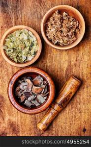dry medicinal herb. drug collection Linden,hops and oak in wooden mortar