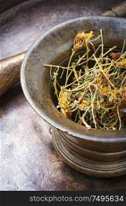 Dry medicinal hypericum.Medicinal herbs and alternative medicine. Hypericum healing plant