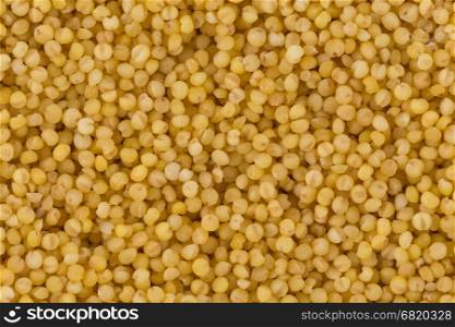 Dry millet closeup. Top view or flat lay. Healthy food and diet concept